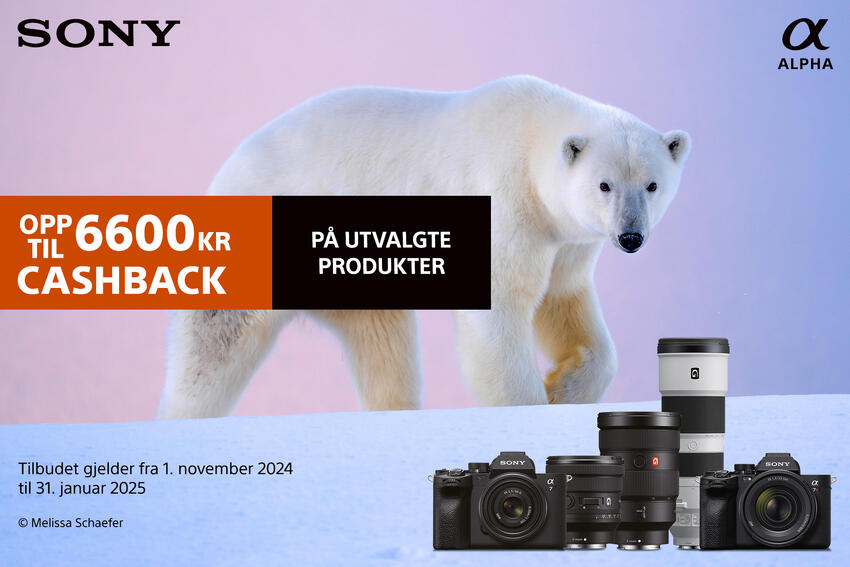 Sony Cashback